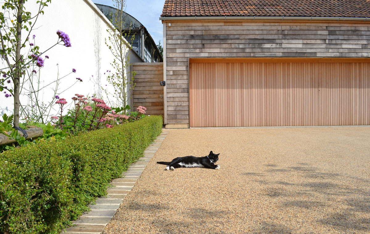 Cat on a Driveway